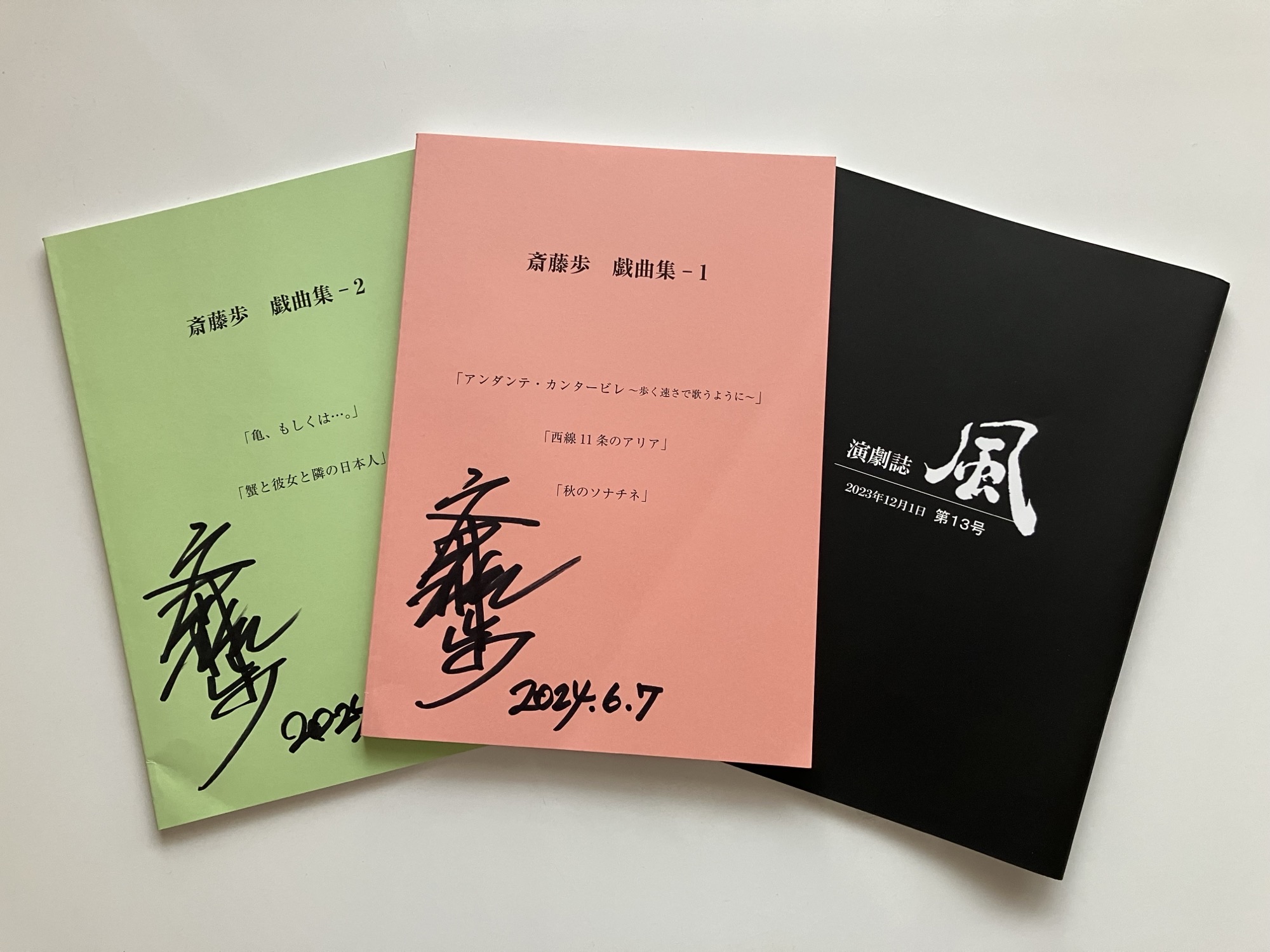 追悼　斎藤歩さん＜下＞